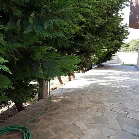 Ithakis Daire *